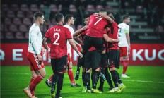 华体会网页版登录入口-波兰大胜阿尔巴尼亚，挺进欧锦赛半决赛的简单介绍